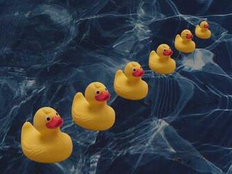 Rubber Ducky Wallpaper