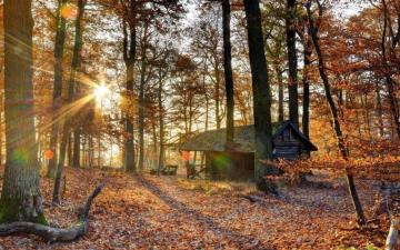 Cabin In The Woods Wallpaper On