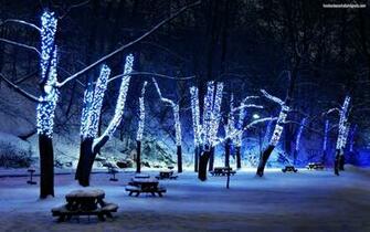 Light Up The Night