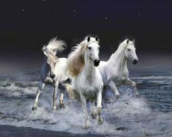 Running Horses Wallpaper Screensavers Animals