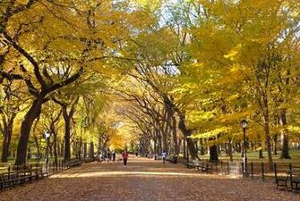 Fall Adventures Central Park Mall Promenade Jpg