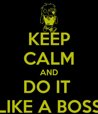 Keep Calm And Do It Like A Boss Carry On Image