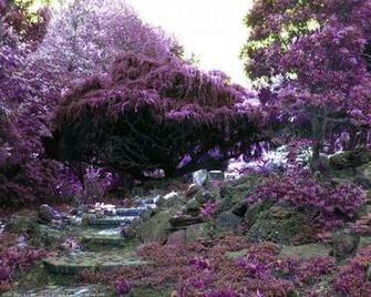 Nature Springtime Desktop Wallpaper For Pc Mac