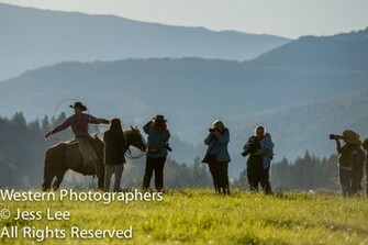 Cowboys Horses Wild Nature Widescreen Background Picture HD Wallpaper