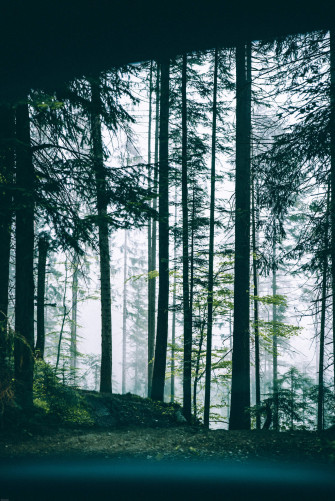 Top 4k iPhone Plus Wallpaper Full HD To Use