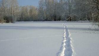 Winter Widescreen Wallpaper