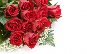 Beautiful Rose HD Flower Bouquet Wallpaper