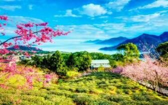 Back Gallery For Chinese Landscape Wallpaper