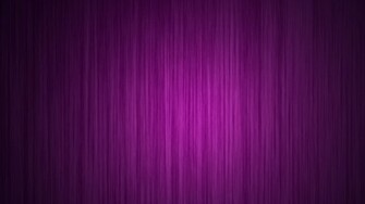 Pictures Light Purple Flowers 1080p Wallpaper HD