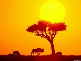 Africa Wallpaper