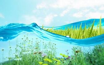 Fresh Green Wallpaper HD
