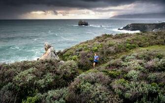 Rave Run Big Sur California Runner S World