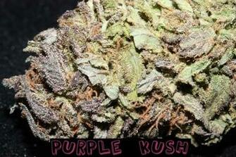 Purple Kush Graphics Code Comments Pictures
