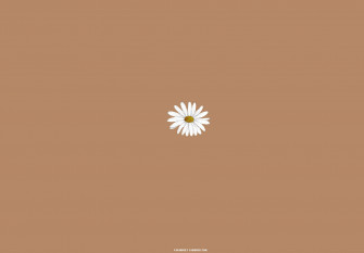 Beige Brown Aesthetic Wallpaper