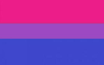 Bisexual Flag Wallpaper By Nerolizard