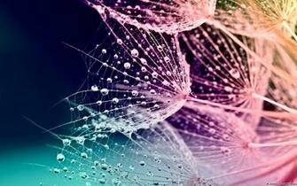 Windows Themes Ten New To Celebrate