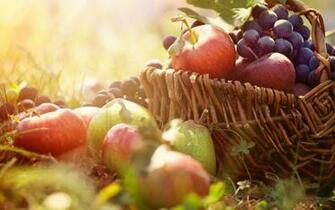 Harvest Wallpaper Jpg