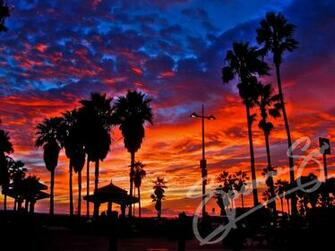 Best Venice Beach California HD Photo Galeries Wallpaper