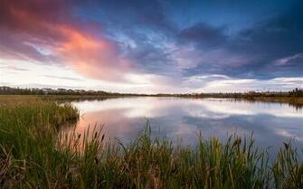 Canada Lake Grass Reeds Scenery HD Wallpaper