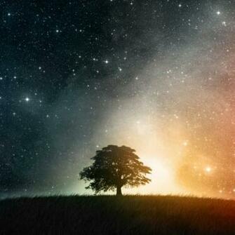 Abstract Nature Wallpaper Tablet Background