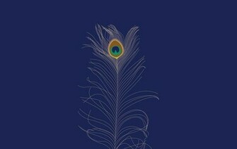 Peacock Feathers