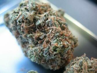 Og Kush Wallpaper