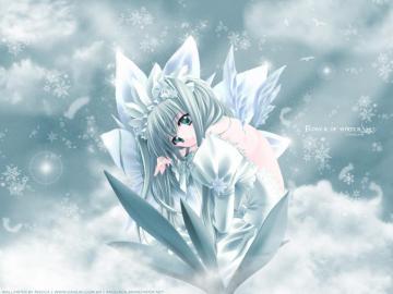 Flower Of Winter Wallpaper Stock Photos