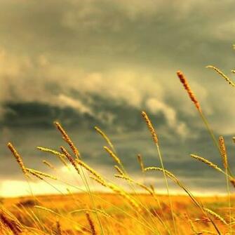 iPad Wallpaper This All Best Nature HD Background