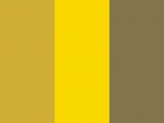 Metallic Gold Color Background Web Golden And
