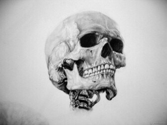 Skull Wallpaper Art Desktop Background