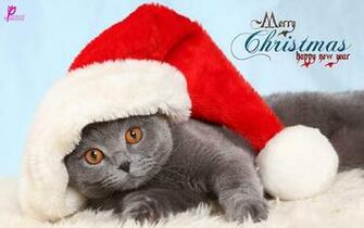 For Kids Merry Christmas And Happy New Year Wishes Ecard HD Wallpaper