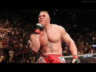Ufc Fighters Wallpaper