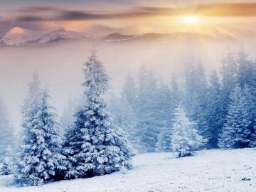 Winter Wonderland Ultra HD Desktop Background Wallpaper For 4k UHD