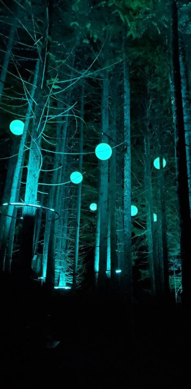 Mystical Forest Wallpaper