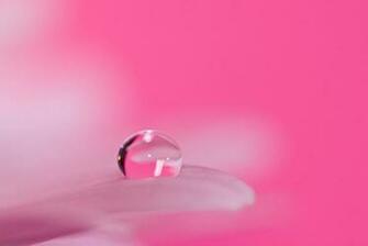 Smart Looking Pink Background Takedesigns