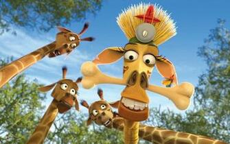 Giraffe Cartoon Wallpaper Which Is Under The