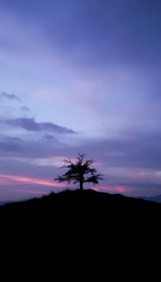 Lonesome Wallpaper