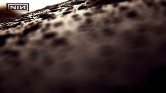 Nin Background