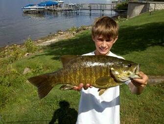 Smallmouth Bass Jumping X3cb X3esmallmouth X3c B X3e