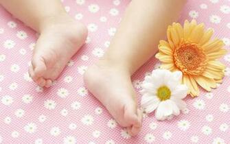 Wallpaper Child Feet Flowers Baby HD Background