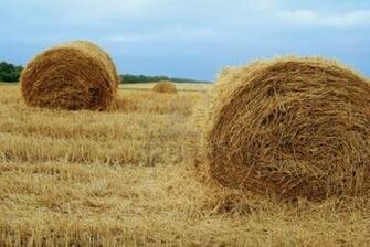 Fall Harvest Desktop Wallpaper HD Background