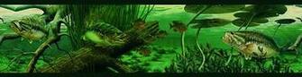 Bass Fishing Wallpaper Largemouth Wall