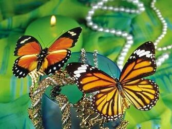 Monarch Butterflies Desktop Wallpaper