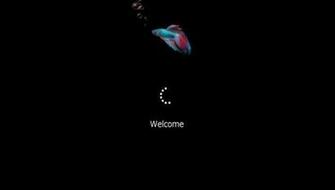 Windows Boot Screen