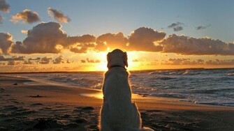 Beach Sunset Cool Background HD Wallpaper