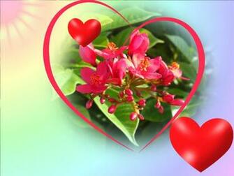 Love Wallpaper