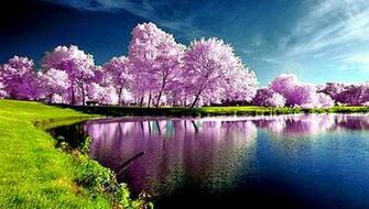 Spring HD Wallpaper Fbpapa Description Nature