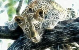 Windows Snow Leopard