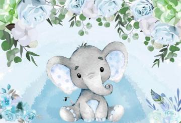 Amazon Baby Shower Background Party Gift Boy