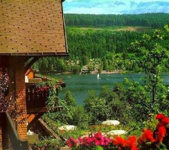 Forest In Germany Black Wide Screen HD Wallpaper